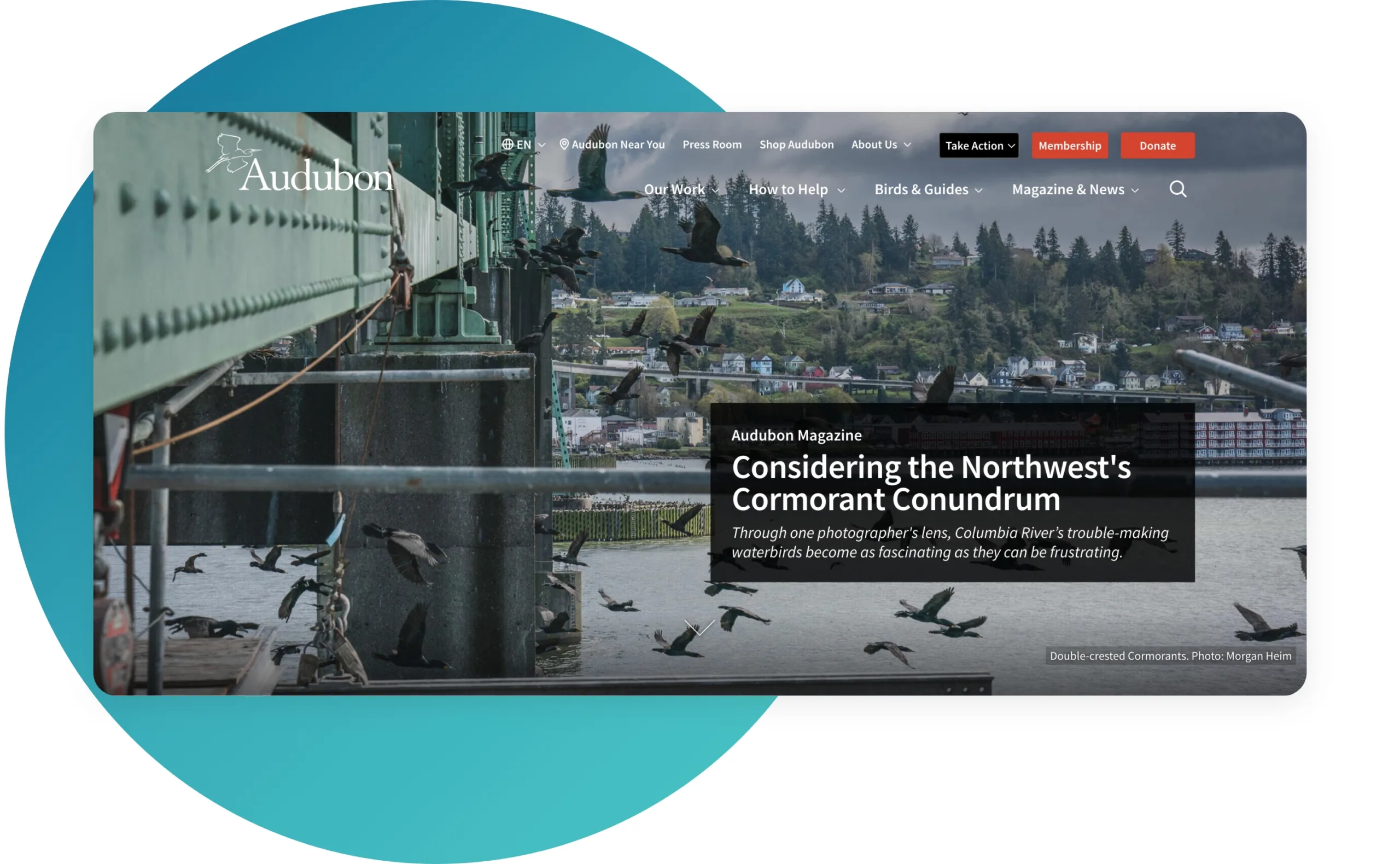 Top 25 Inspirationally Designed Drupal Websites of 2022 17 15-Audubon.jpg