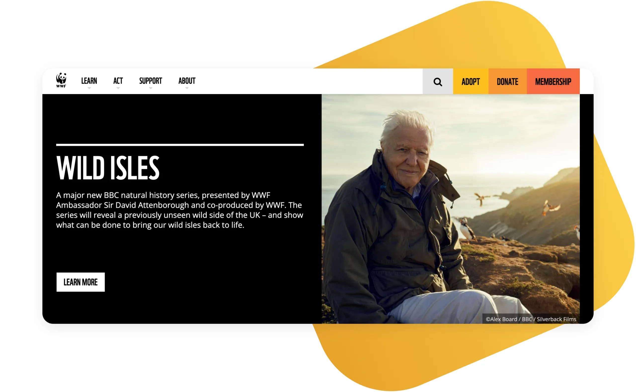 Top 25 Inspirationally Designed Drupal Websites of 2022 19 17-World Wildlife Fund.jpg