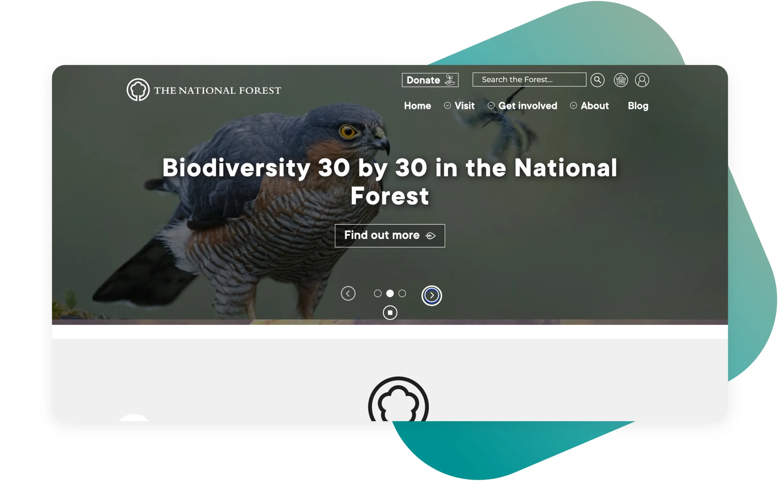 Top 25 Inspirationally Designed Drupal Websites of 2022 26 24-The National Forest.jpg