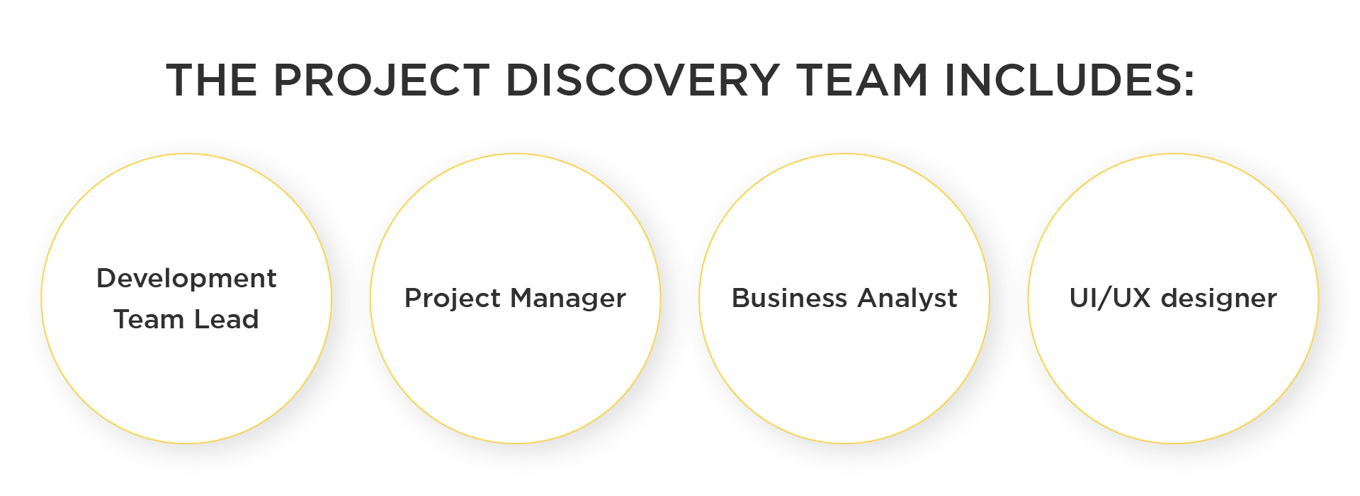 How to Perform a Successful Discovery of a Large Project 6 Set up a project discovery team