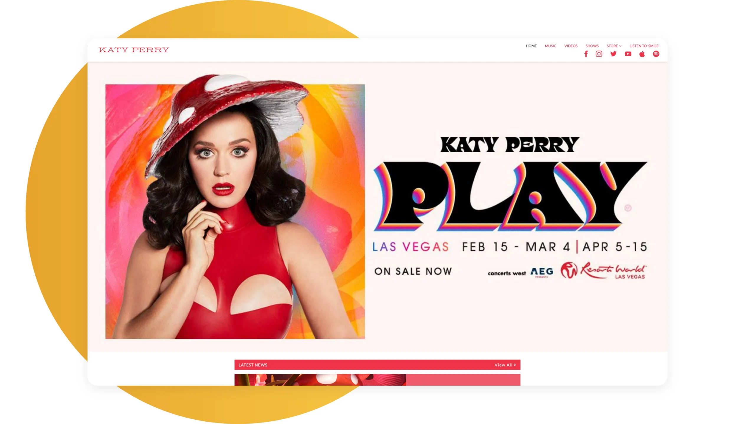Top 26 Popular WordPress Websites 8 6-Katy Perry.jpg