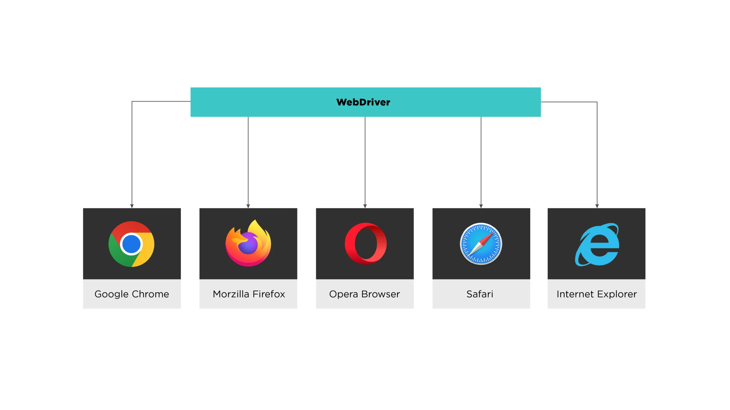 Implementing automated Testing with CodeCeption 6 5 WebDriver scaled