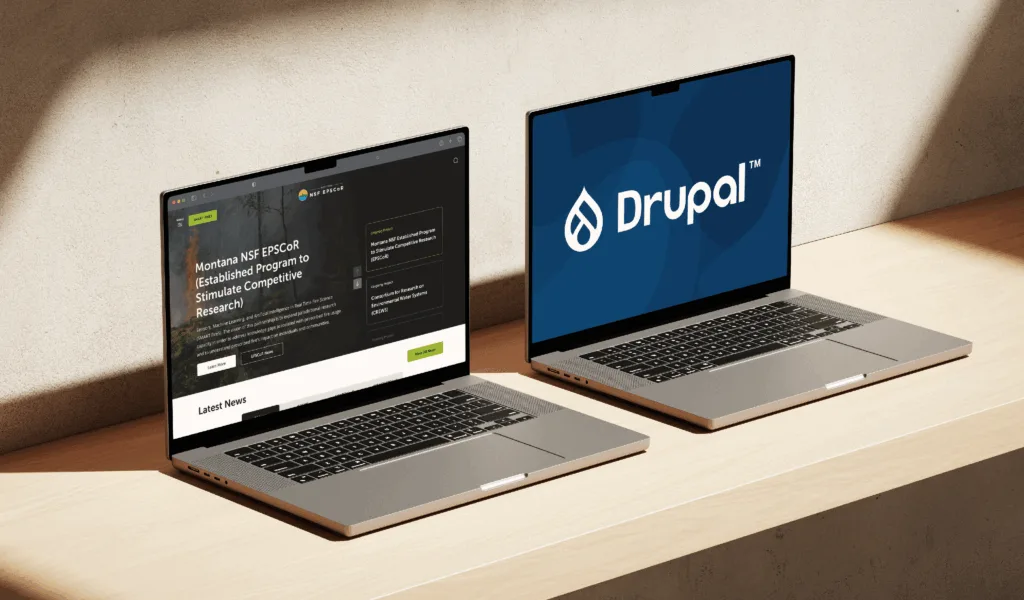 Why Drupal for Nonprofits is the Ideal Choice for Success