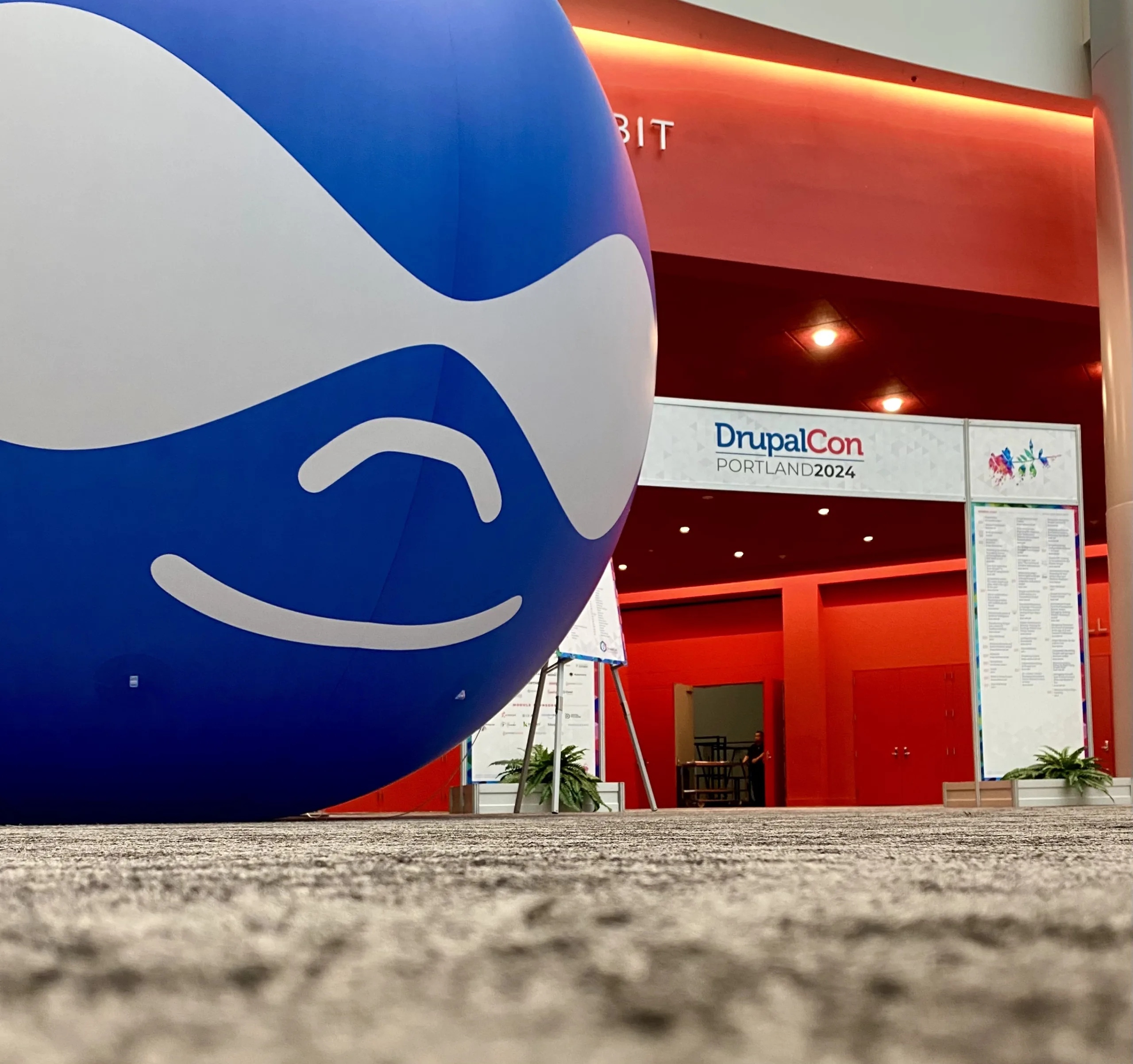 Picture of Druplicon