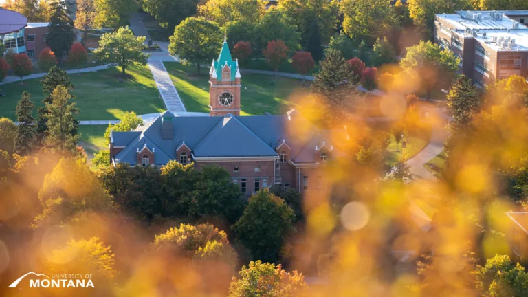 Tips for Choosing Your Web Partner in the Academic Landscape