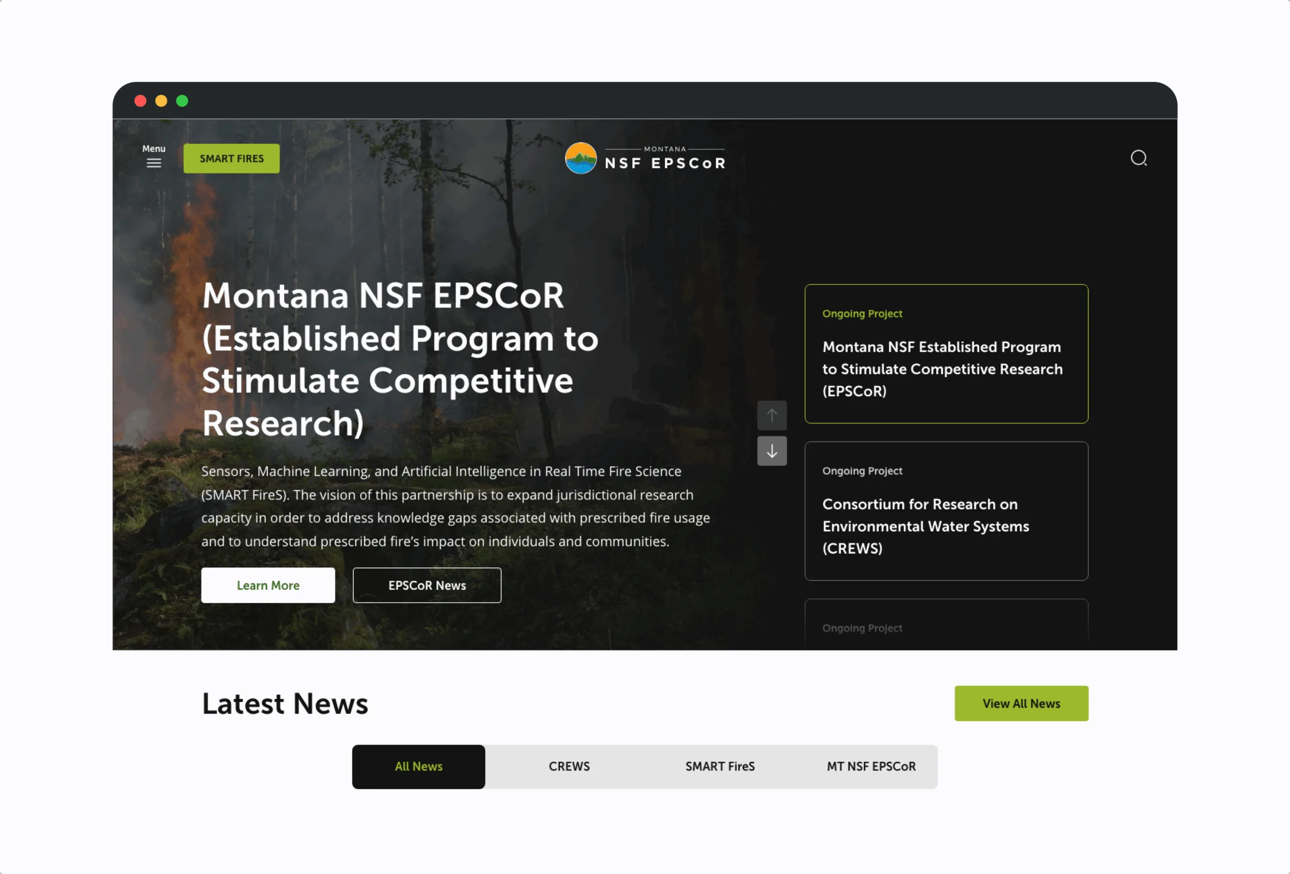 Why Drupal is the Go-To Choice for Nonprofits 9 mockup Montana University 1 scaled