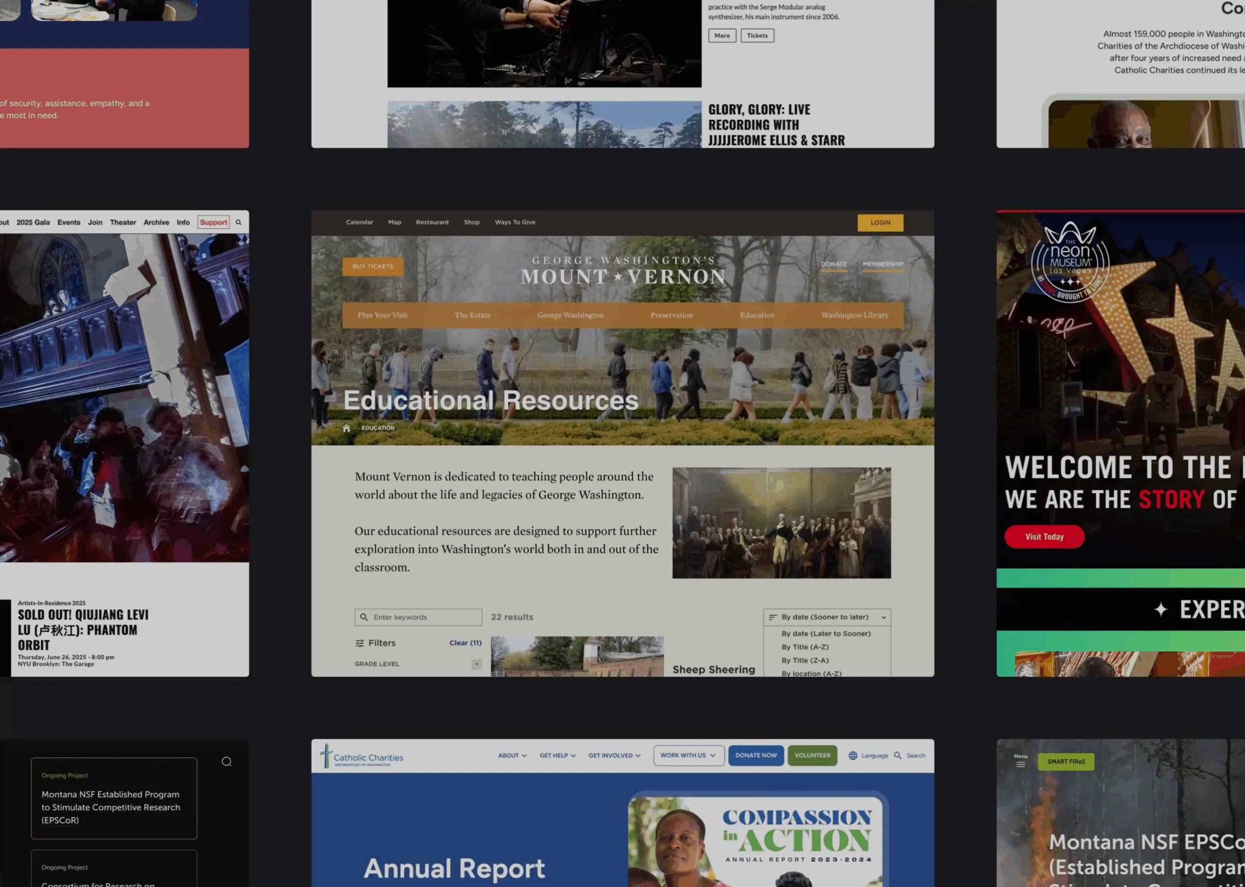 Non-profit website