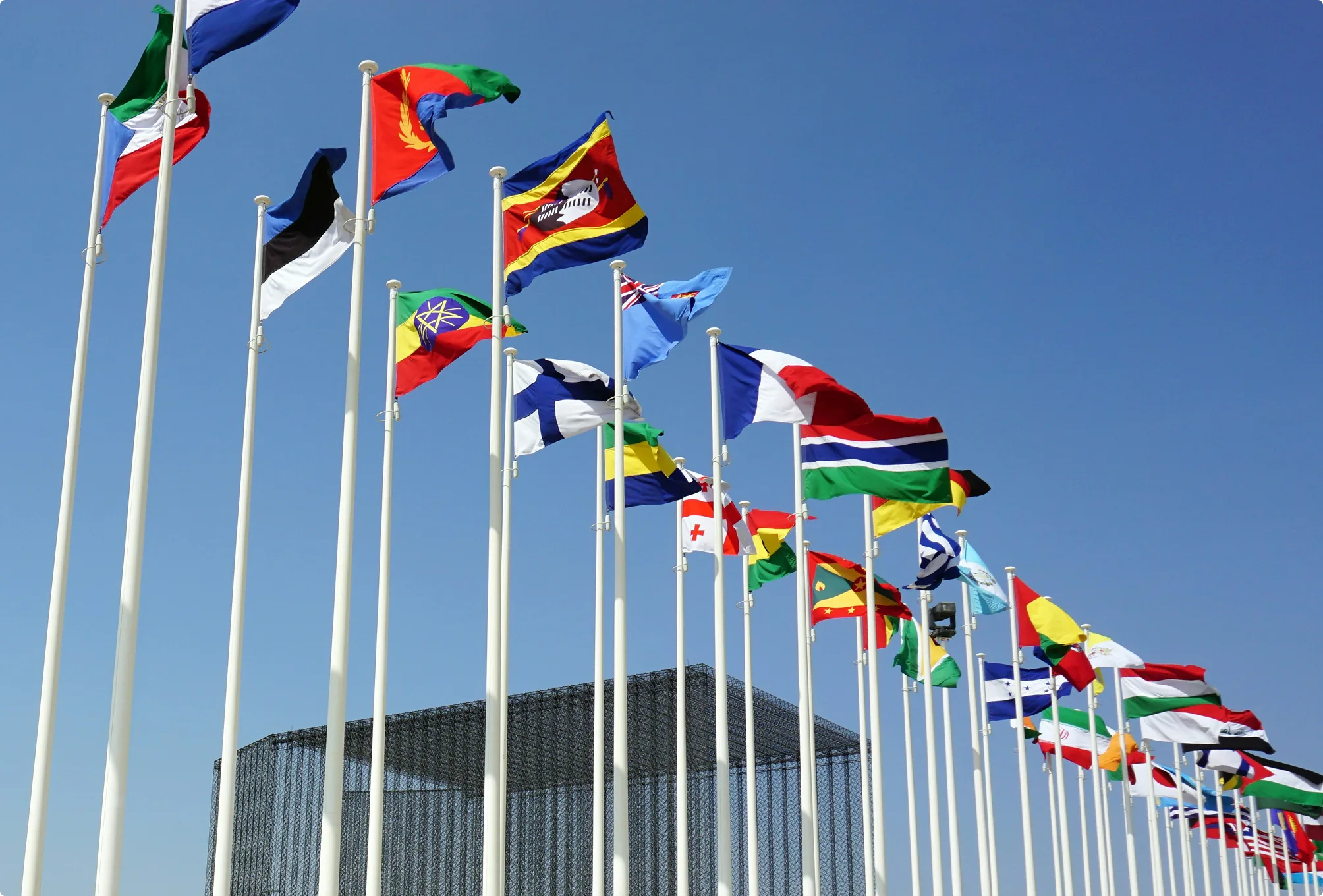 Global & Multi-Jurisdictional Firms