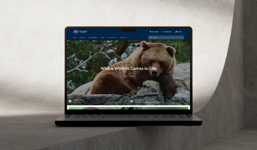 zoo website redesign case study