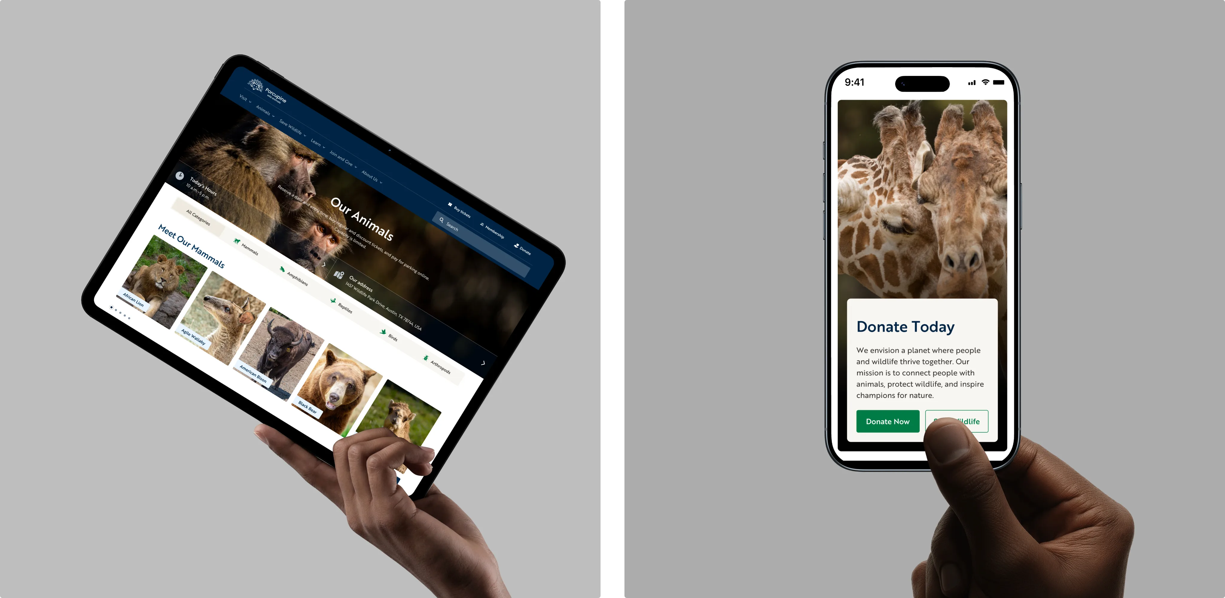 zoo website redesign mobile view