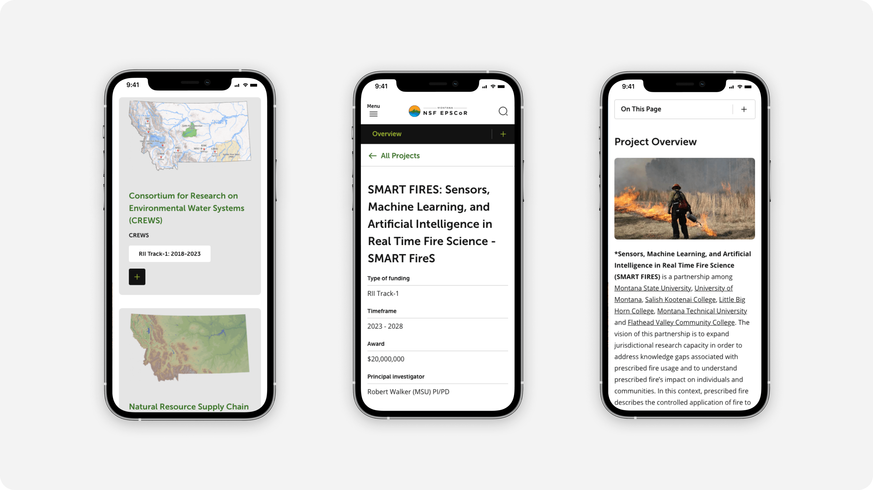 Updated website on mobile