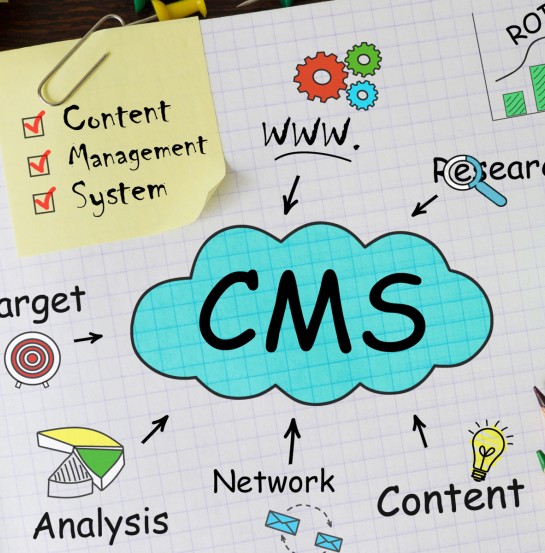 headless CMS education